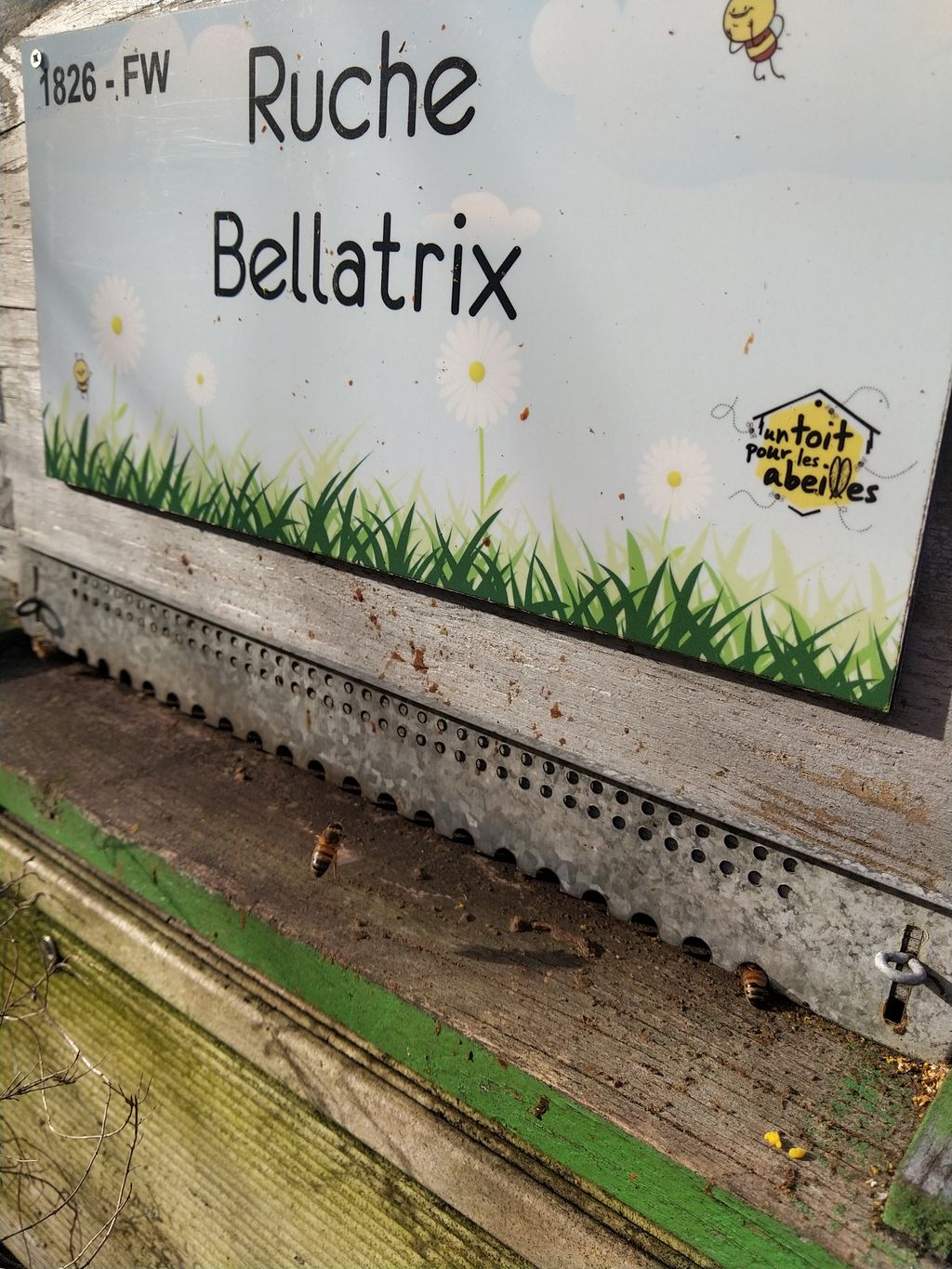 La ruche Bellatrix