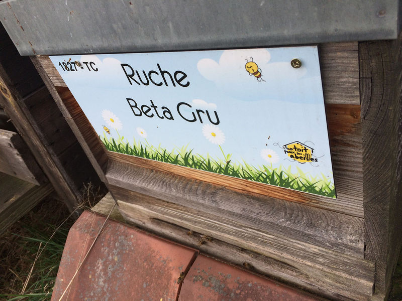 La ruche