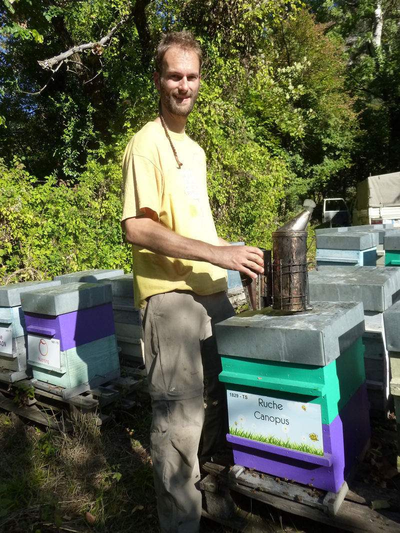 La ruche Canopus