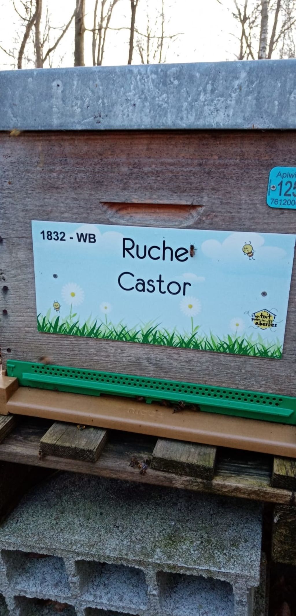 La ruche Castor