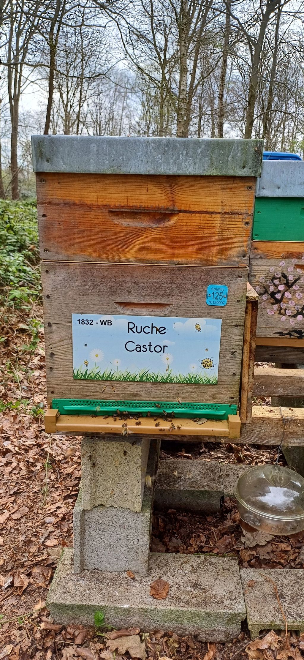 La ruche Castor