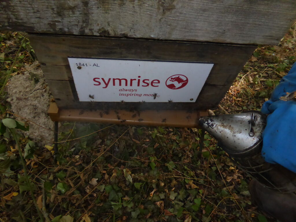 La ruche SYMRISE