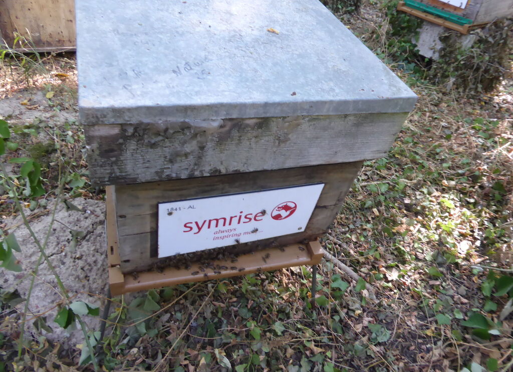 La ruche SYMRISE