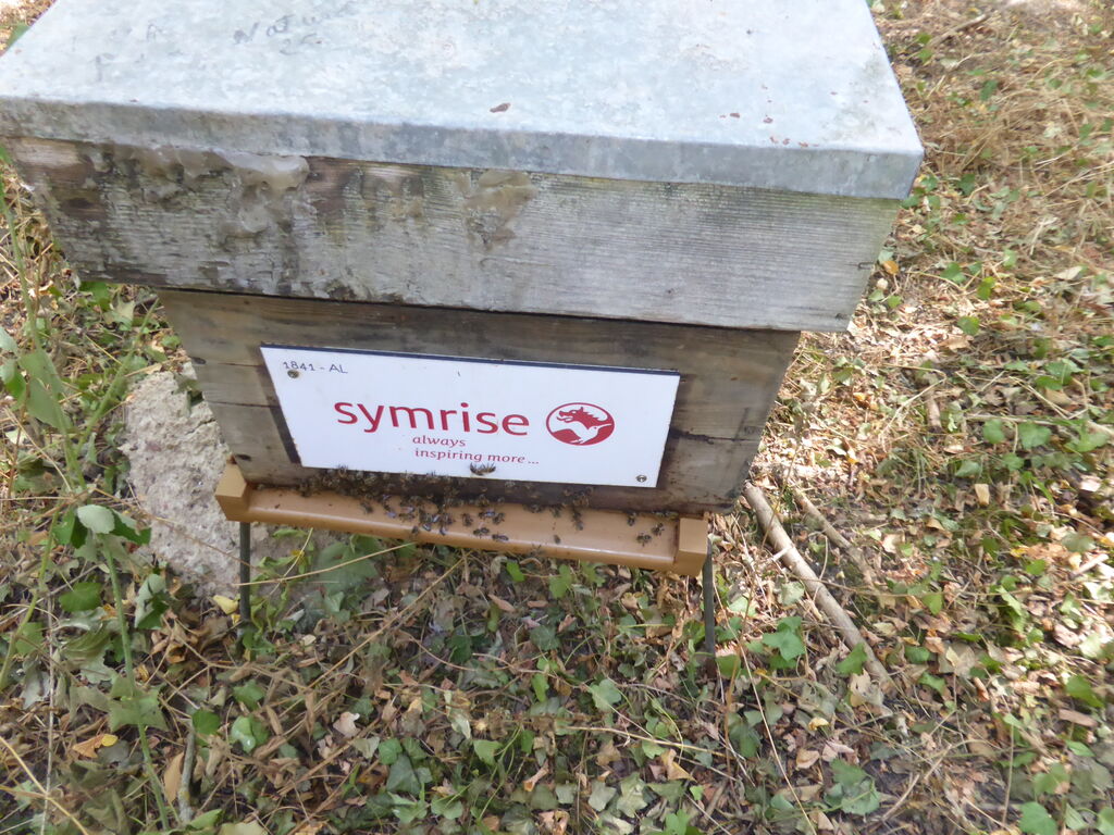 La ruche SYMRISE