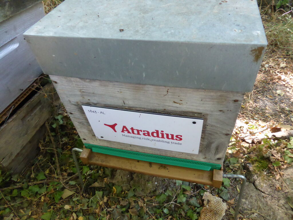 La ruche Atradius Crédito y Caucion SA (Atradius)