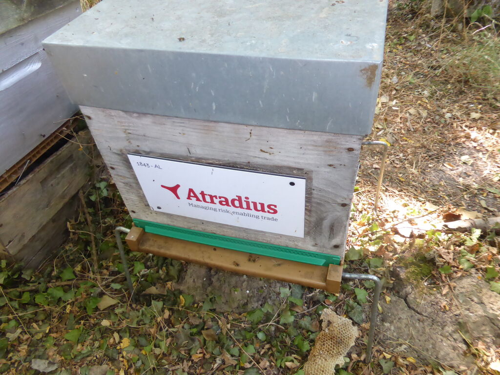 La ruche Atradius Crédito y Caucion SA (Atradius)