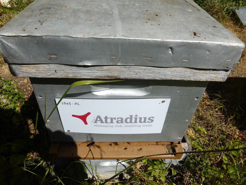 La ruche Atradius Crédito y Caucion SA (Atradius)
