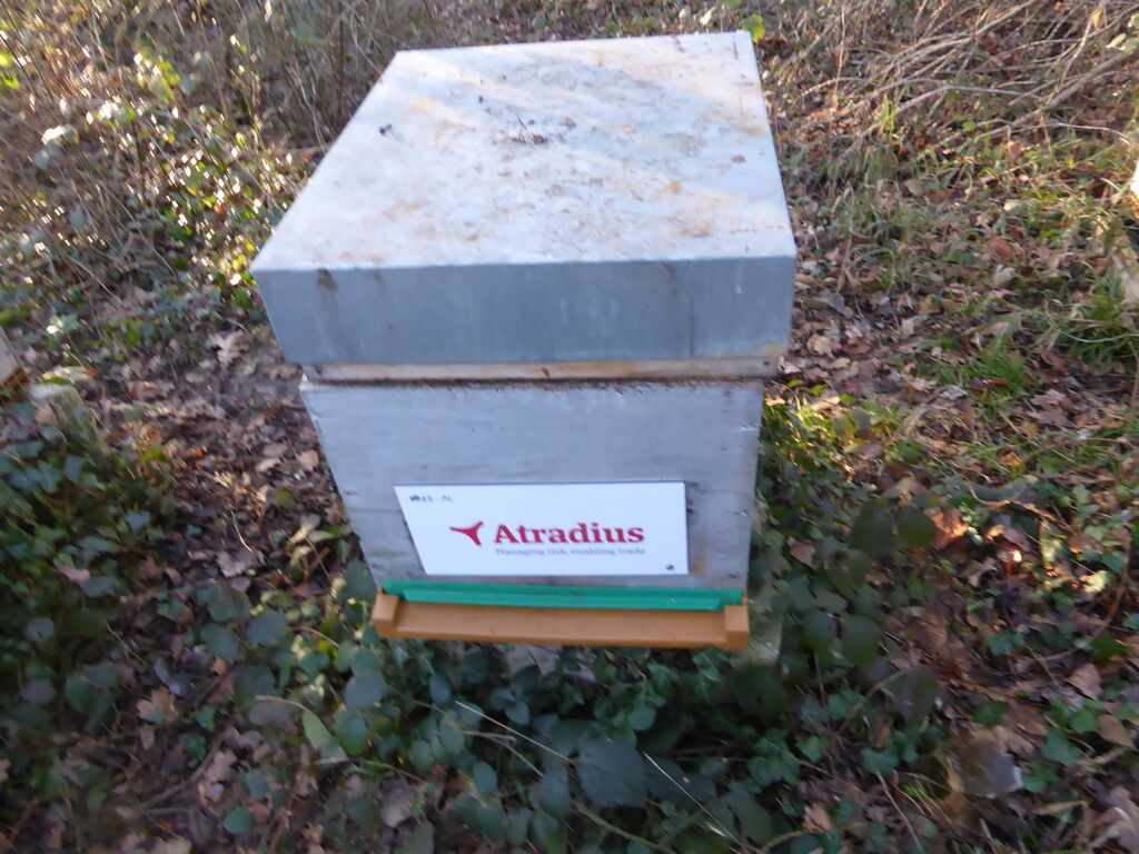 La ruche Atradius Crédito y Caucion SA (Atradius)