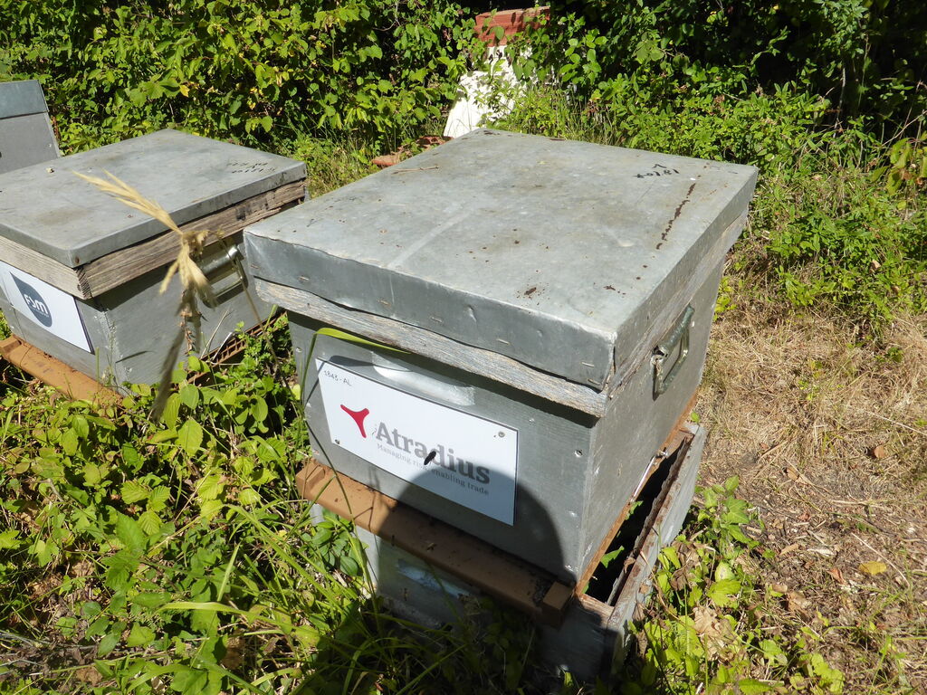 La ruche Atradius Crédito y Caucion SA (Atradius)