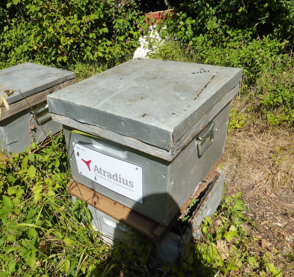 La ruche Atradius Crédito y Caucion SA (Atradius)