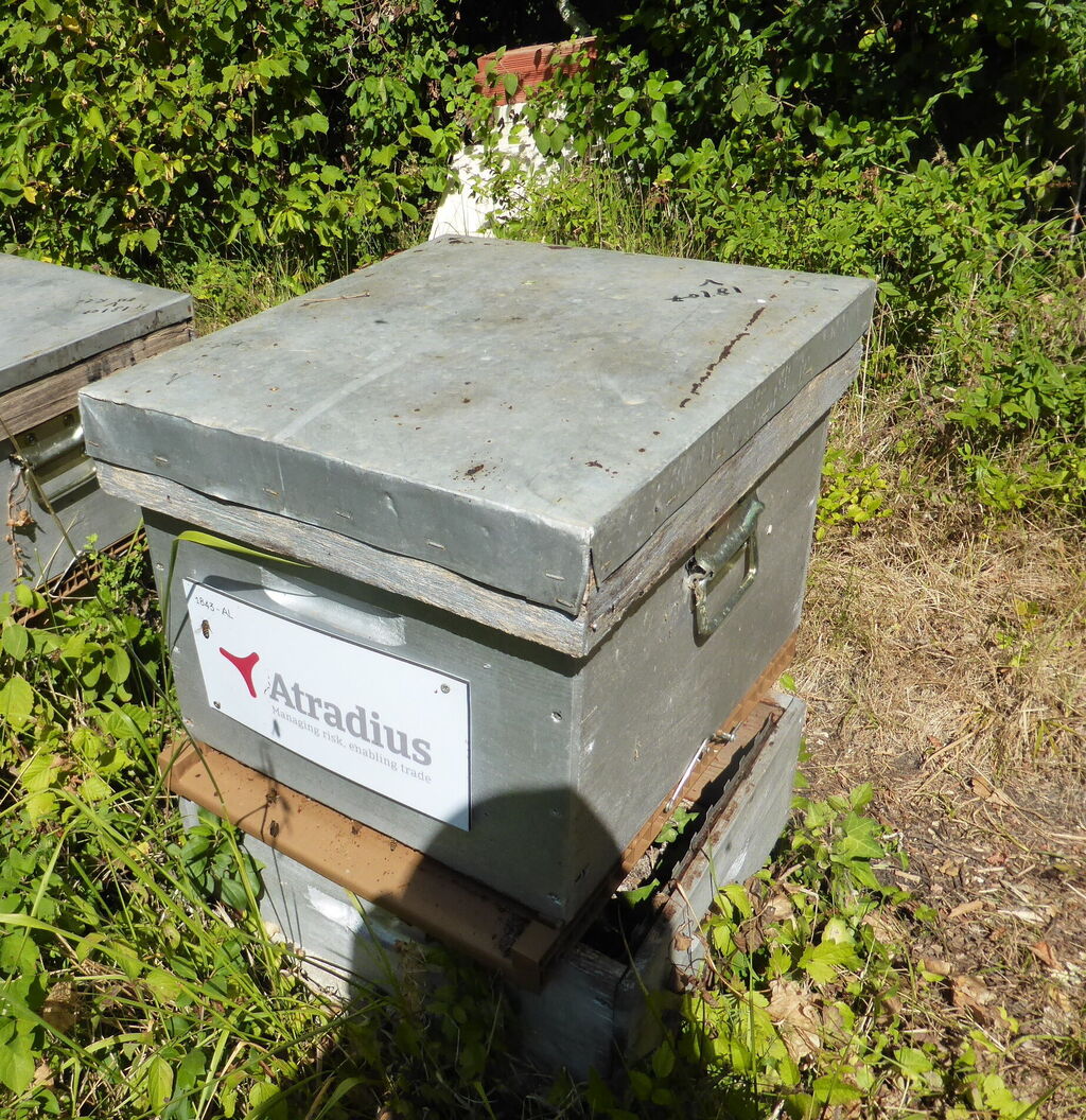 La ruche Atradius Crédito y Caucion SA (Atradius)
