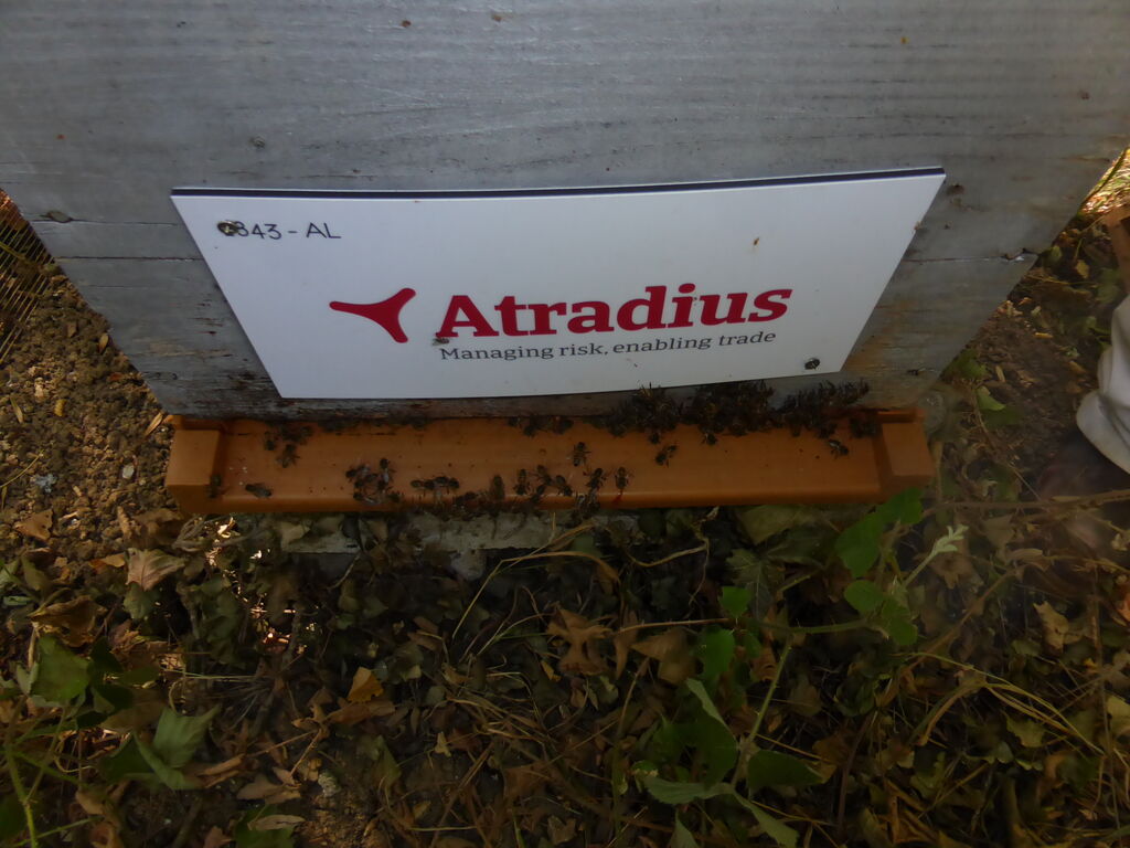 La ruche Atradius Crédito y Caucion SA (Atradius)