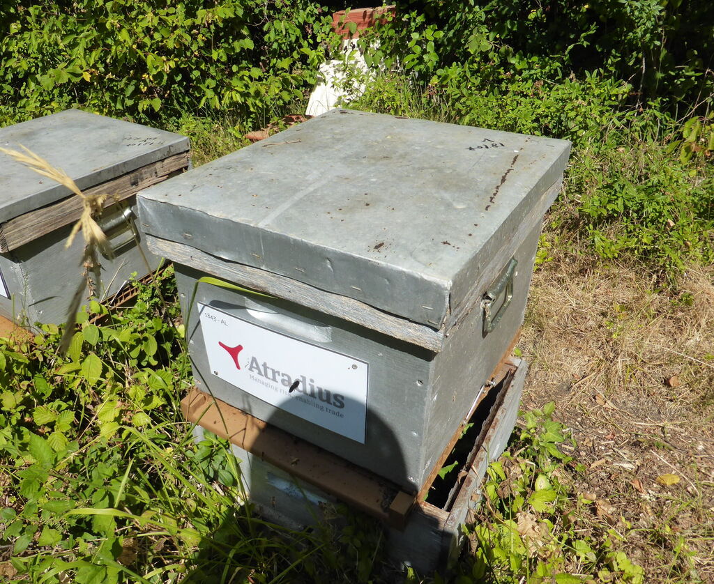 La ruche Atradius Crédito y Caucion SA (Atradius)