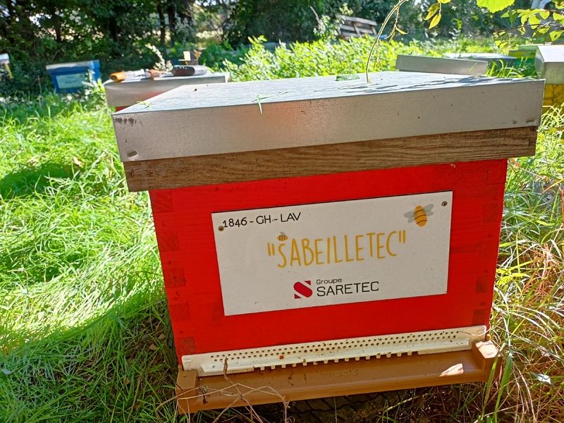 La ruche SARETEC FRANCE