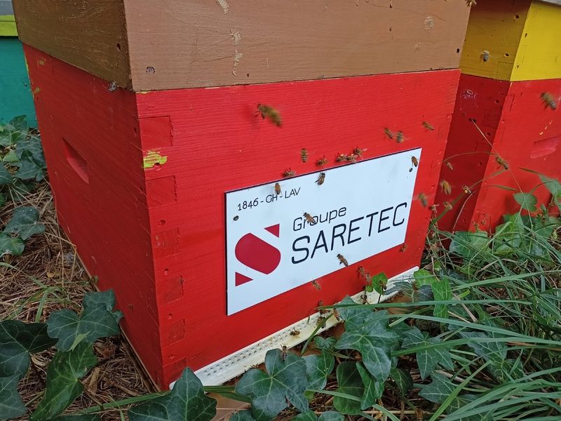 La ruche SARETEC FRANCE