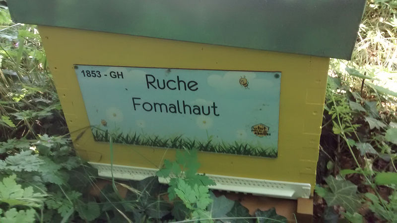 La ruche