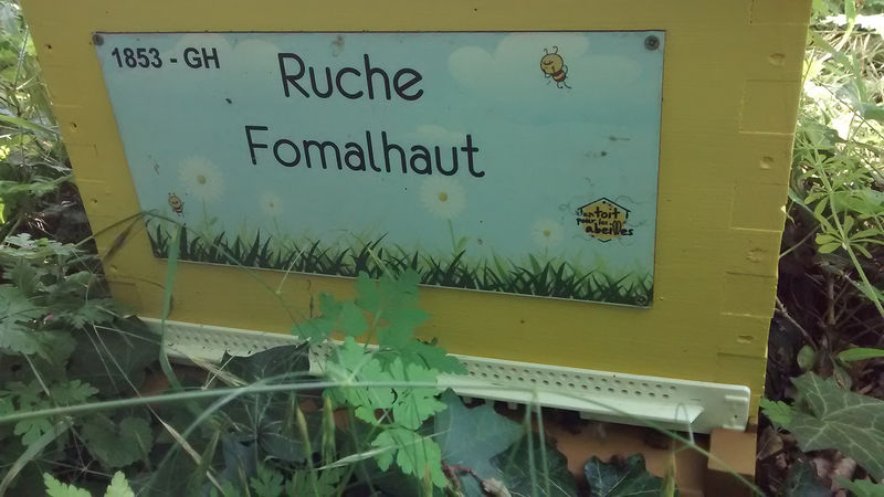 La ruche Fomalhaut