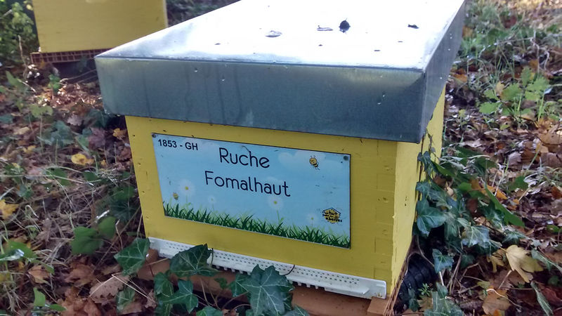 La ruche Fomalhaut