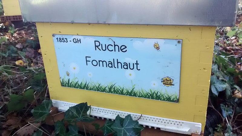 La ruche Fomalhaut