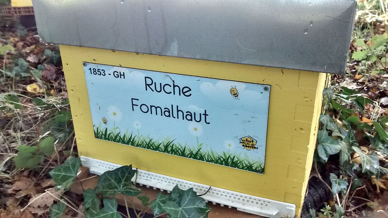 La ruche Fomalhaut