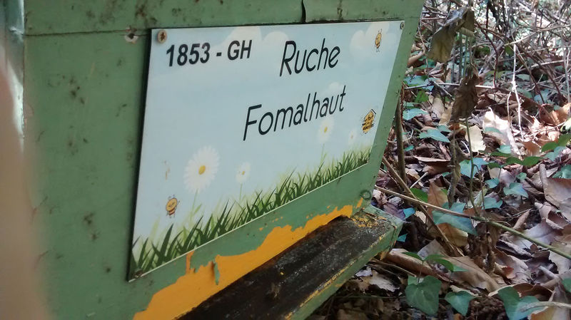 La ruche Fomalhaut