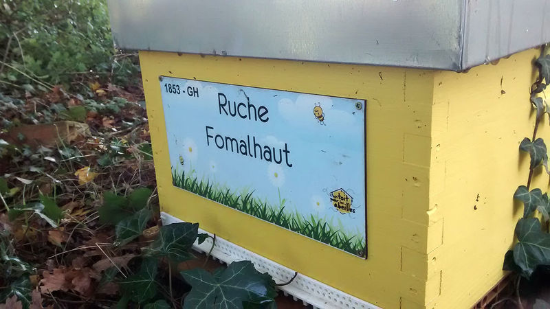 La ruche Fomalhaut