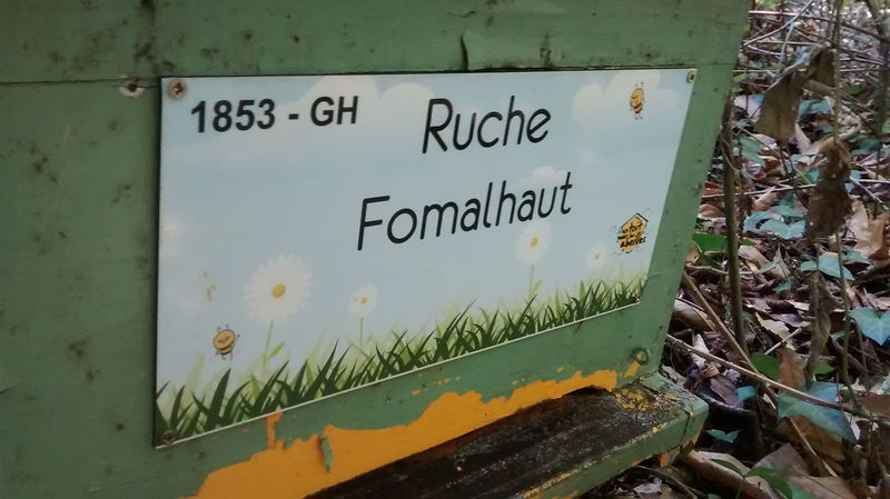 La ruche Fomalhaut