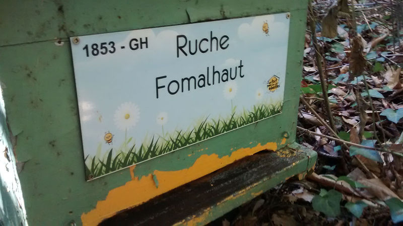 La ruche Fomalhaut
