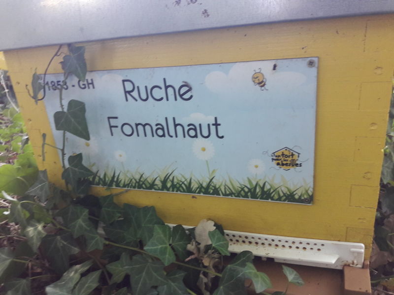La ruche Fomalhaut