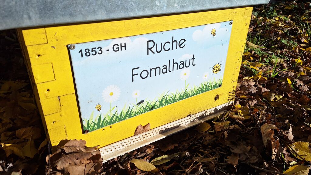 La ruche Fomalhaut