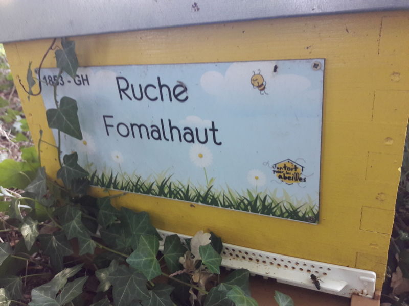 La ruche Fomalhaut