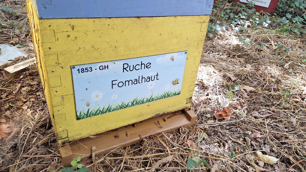La ruche Fomalhaut