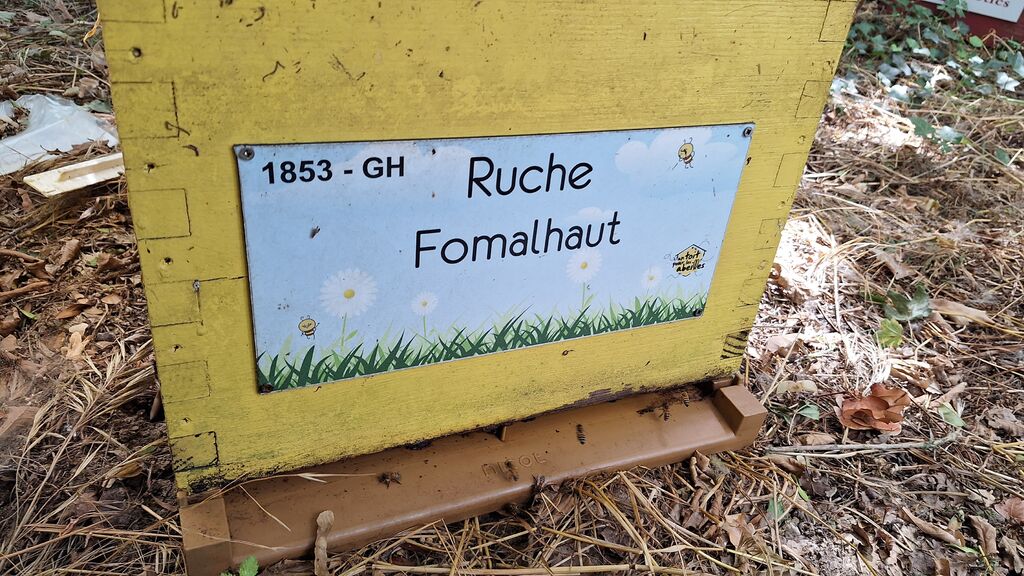 La ruche Fomalhaut