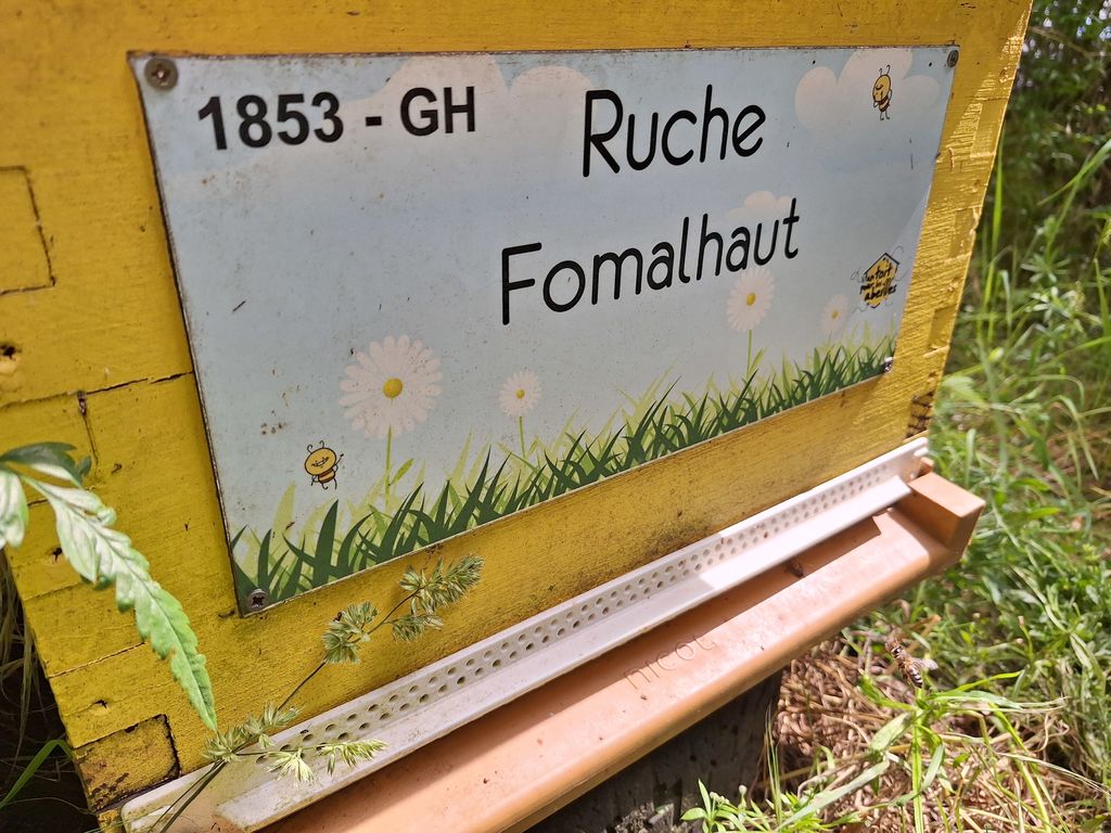 La ruche Fomalhaut