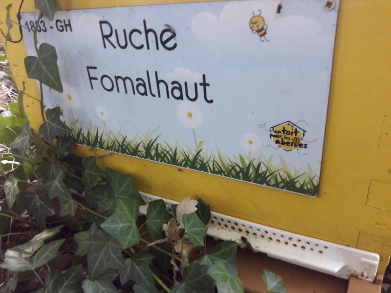 La ruche Fomalhaut