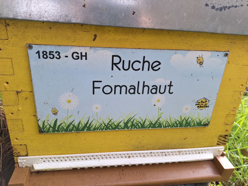 La ruche Fomalhaut