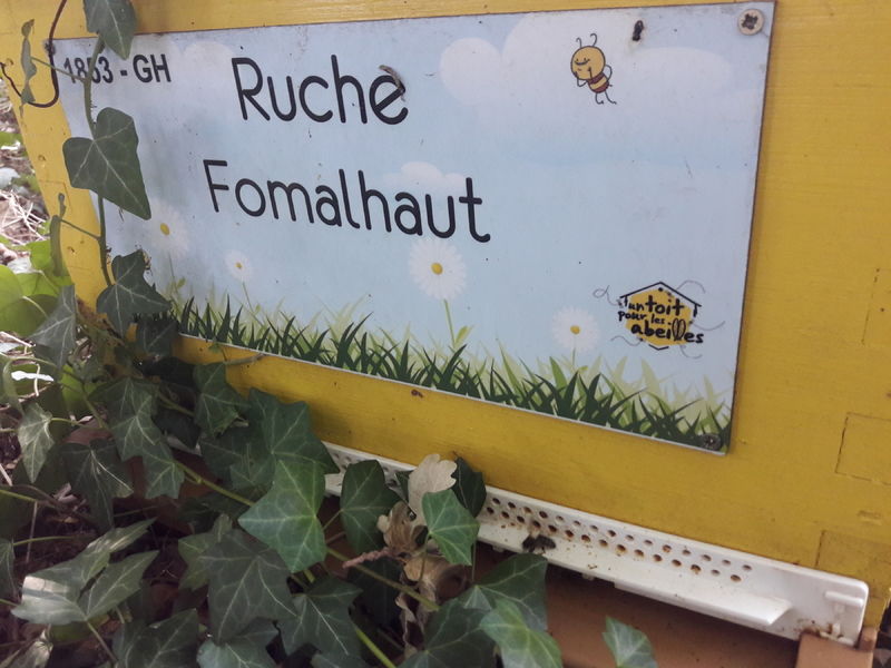 La ruche Fomalhaut