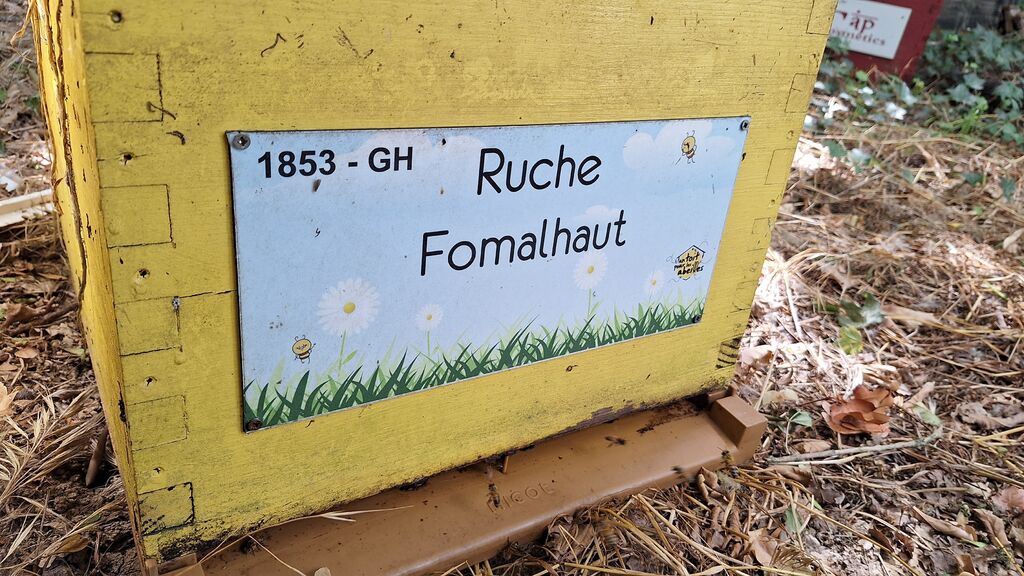 La ruche Fomalhaut