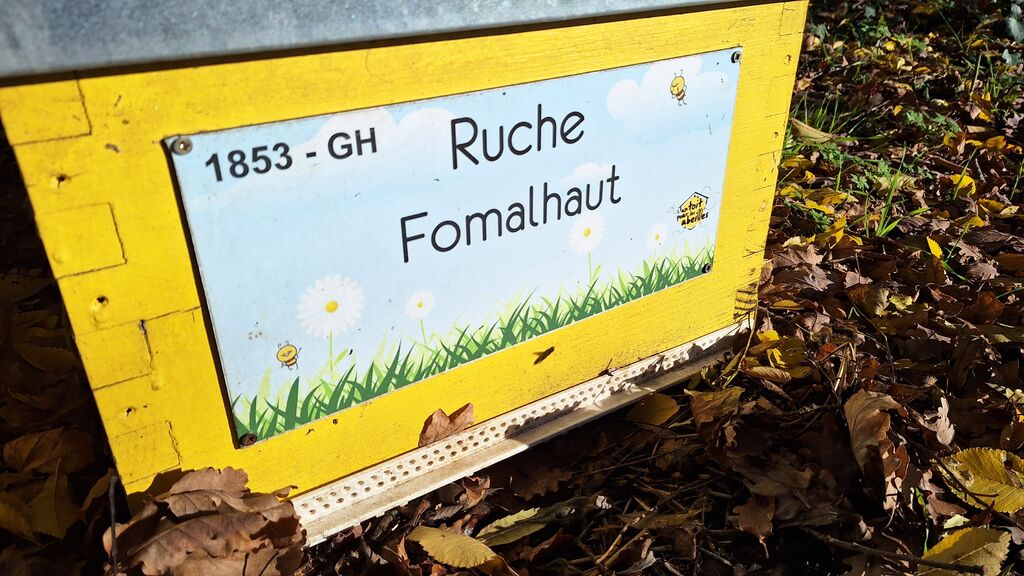 La ruche Fomalhaut
