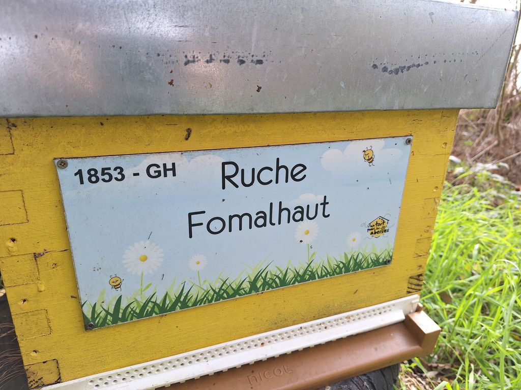 La ruche Fomalhaut