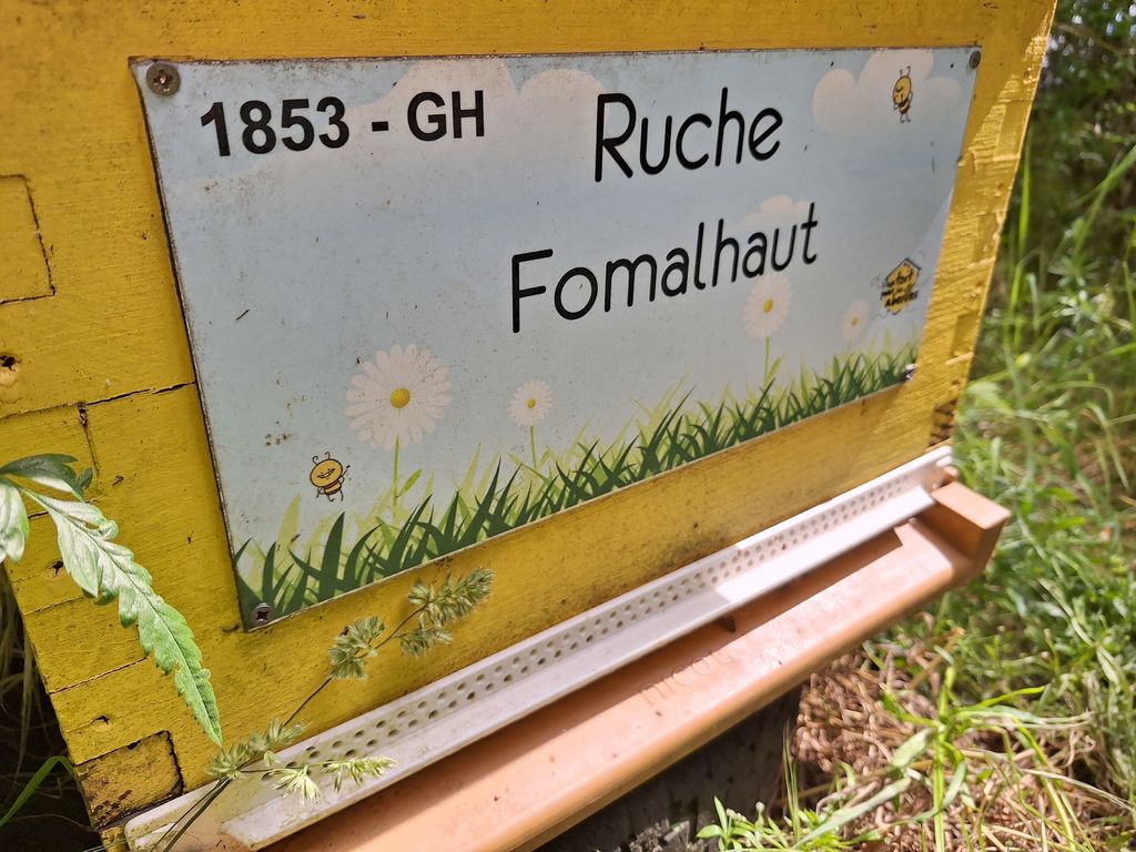 La ruche Fomalhaut