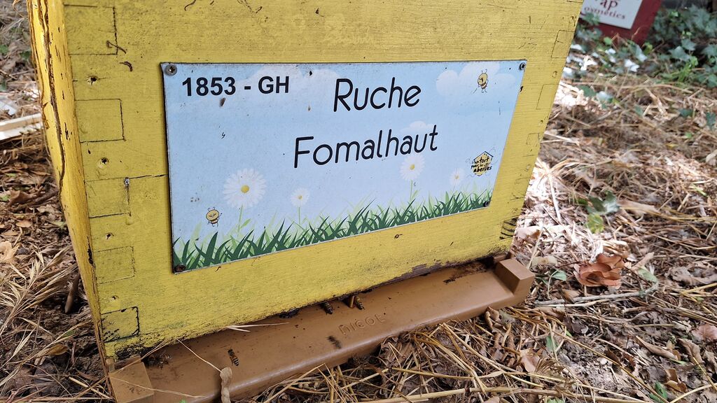 La ruche Fomalhaut