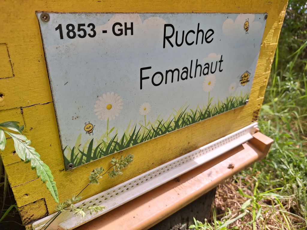 La ruche Fomalhaut