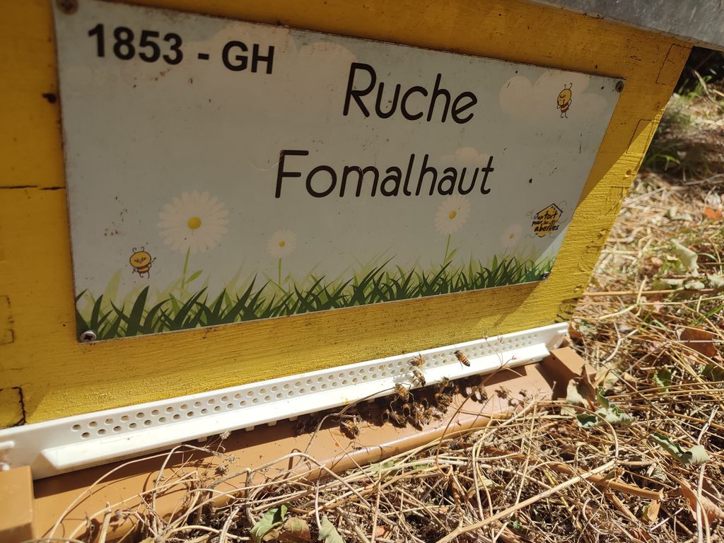 La ruche Fomalhaut