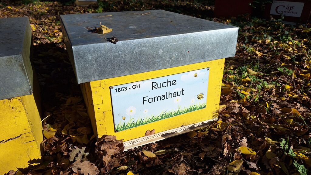 La ruche Fomalhaut