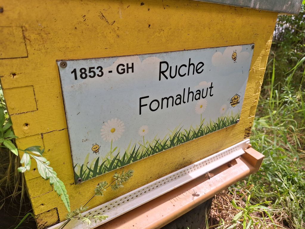 La ruche Fomalhaut