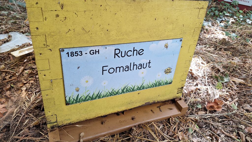 La ruche Fomalhaut