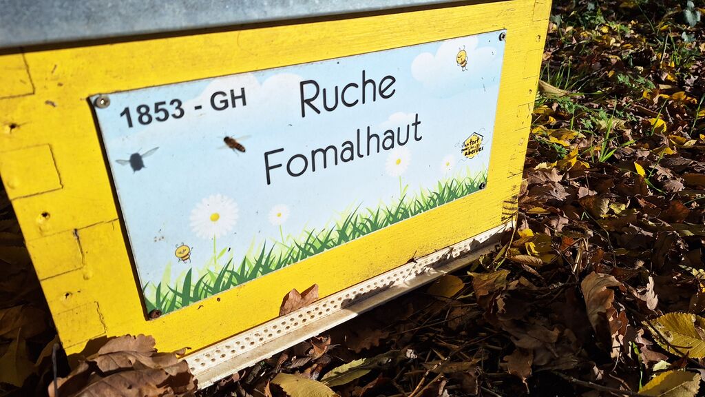La ruche Fomalhaut