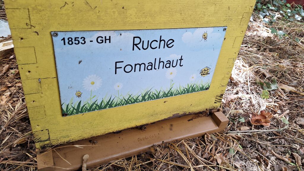 La ruche Fomalhaut