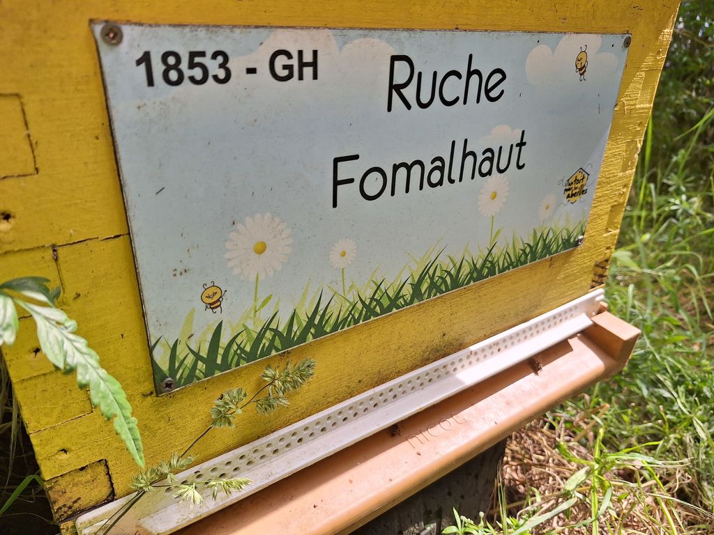La ruche Fomalhaut